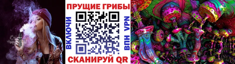 это Telegram Находка Псилоцибиновые грибы Cubensis